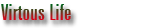 Virtous Life